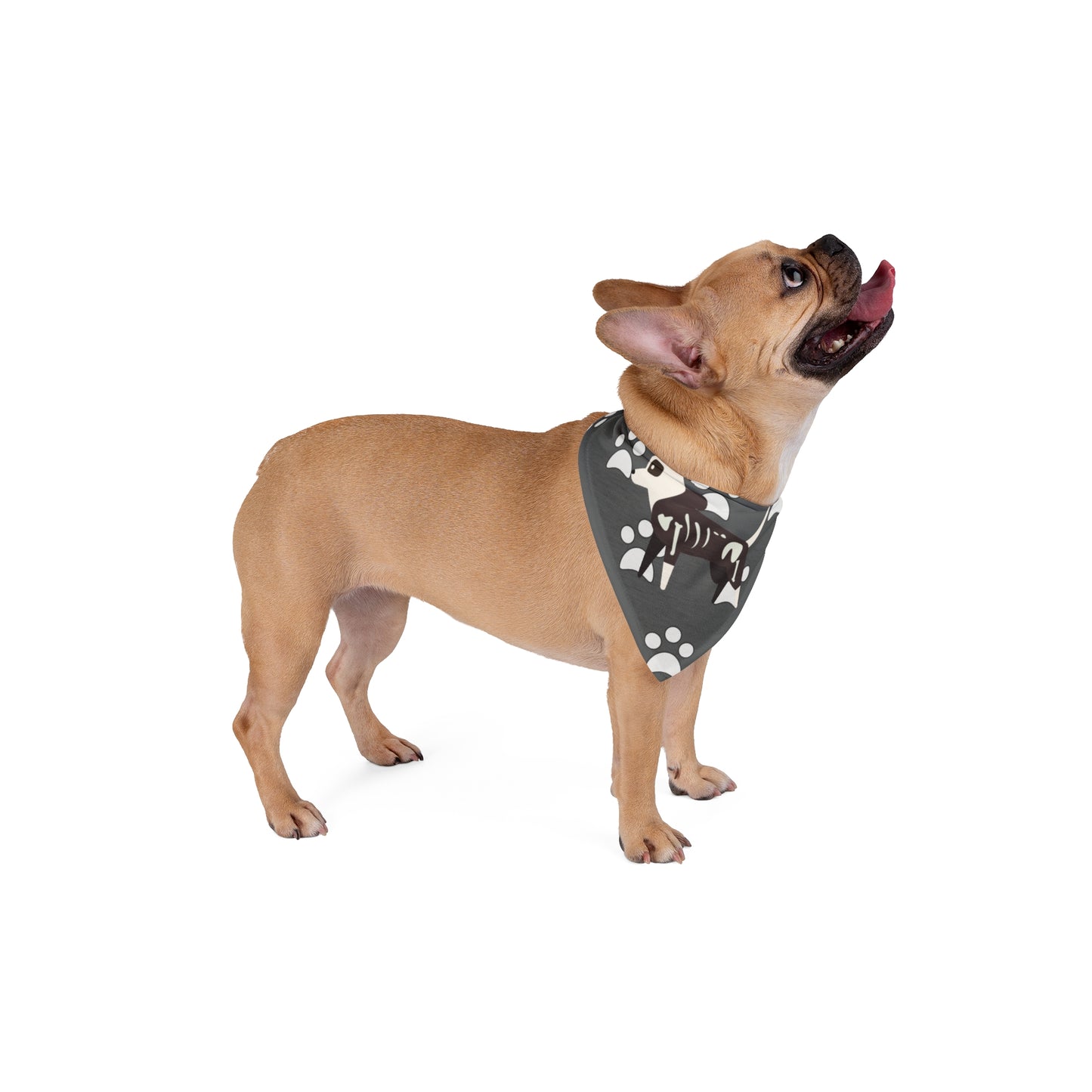 Chic Pet Bandana for Stylish Dogs, Perfect for Walks, Outdoor Adventures, Dog Parks, Pet Birthdays, Everyday Wear, Gifts for Pet Lovers