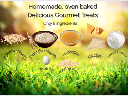 Parmesan Dog Pretzels