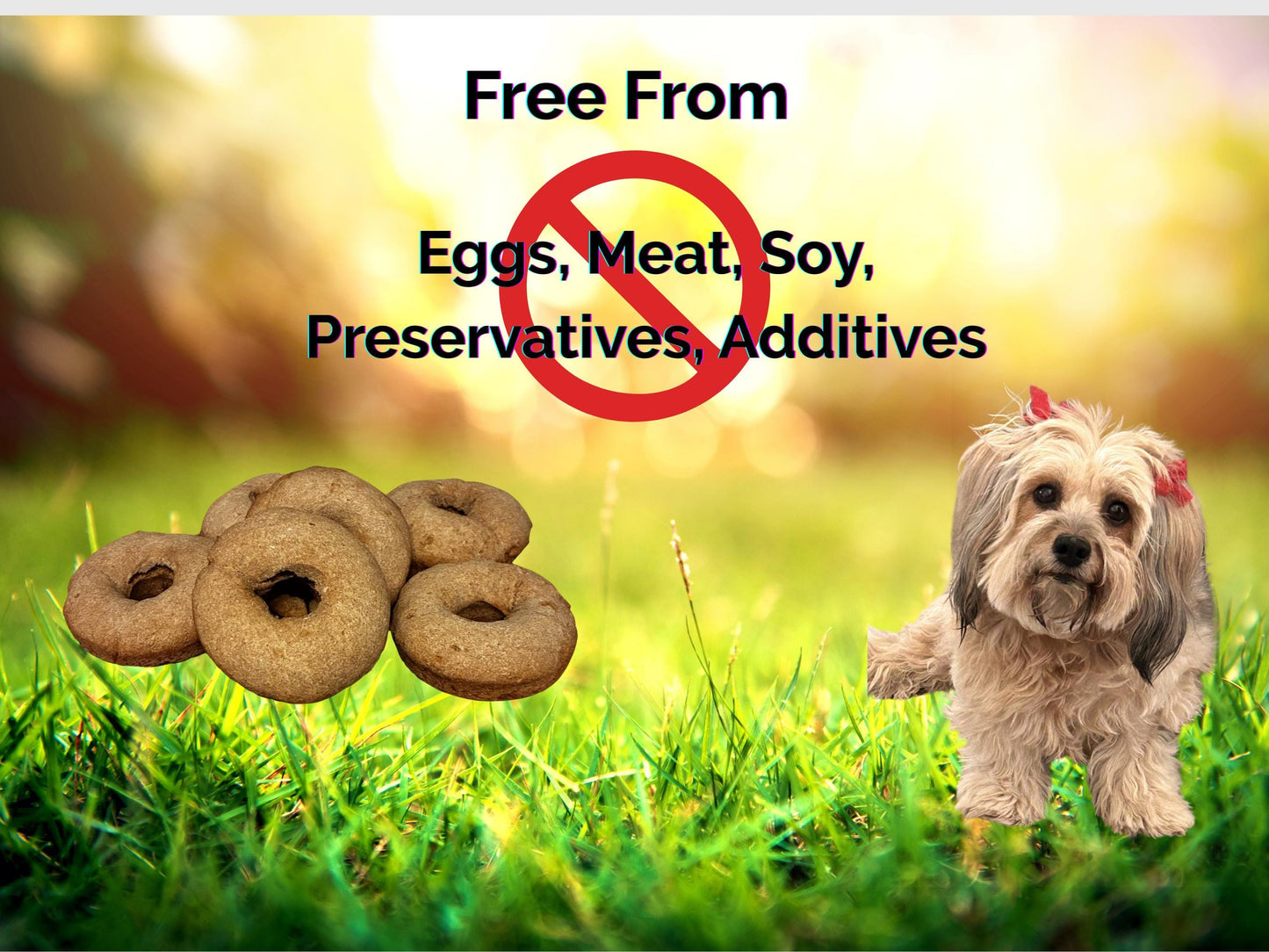 Treat Your Furry Pal to Natural Goodness: Artisan Dog Treats, No Artificial Additives