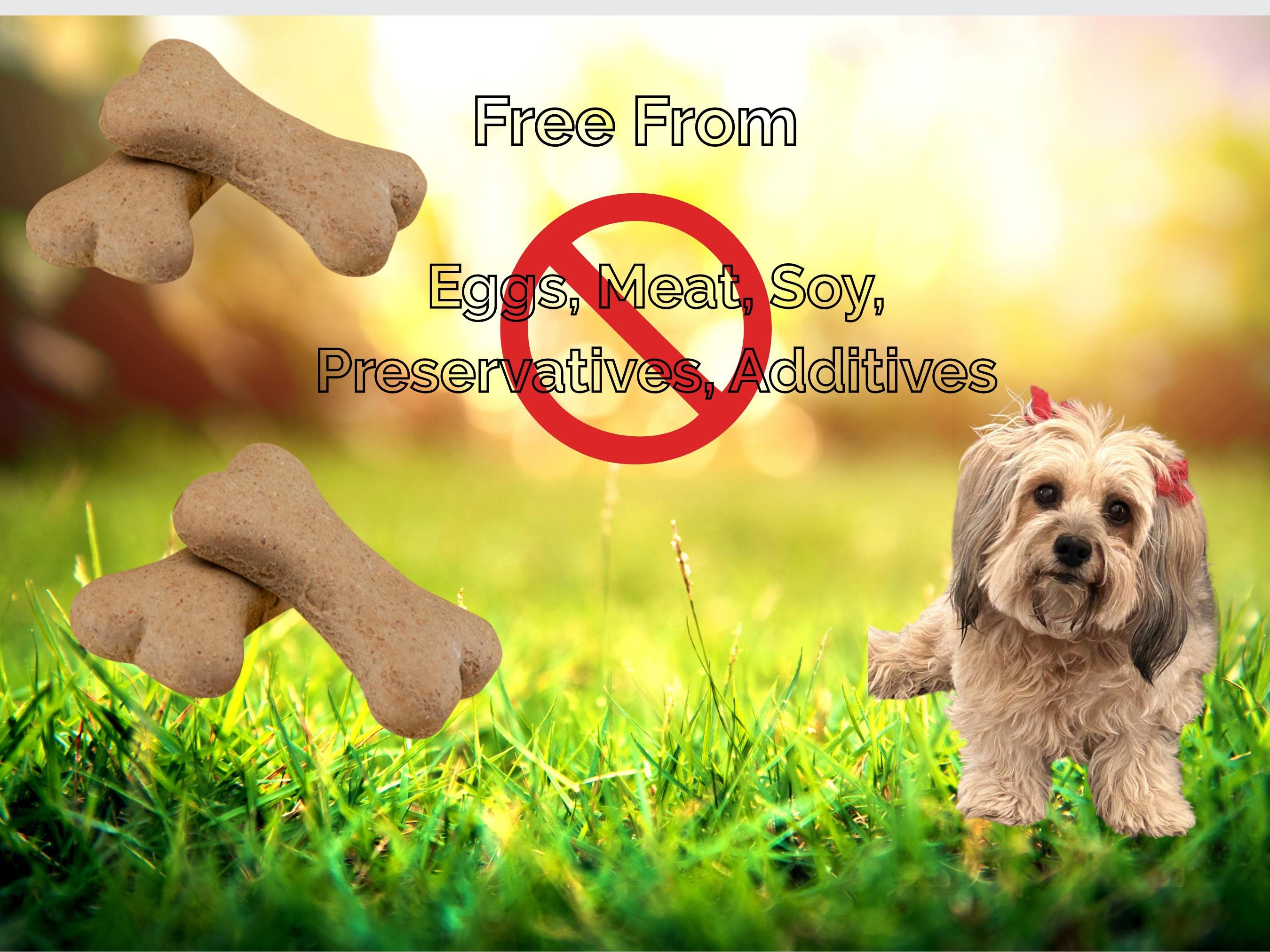 Peanut Butter Dog Treats 8oz