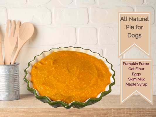 Pumpkin Dog Pie
