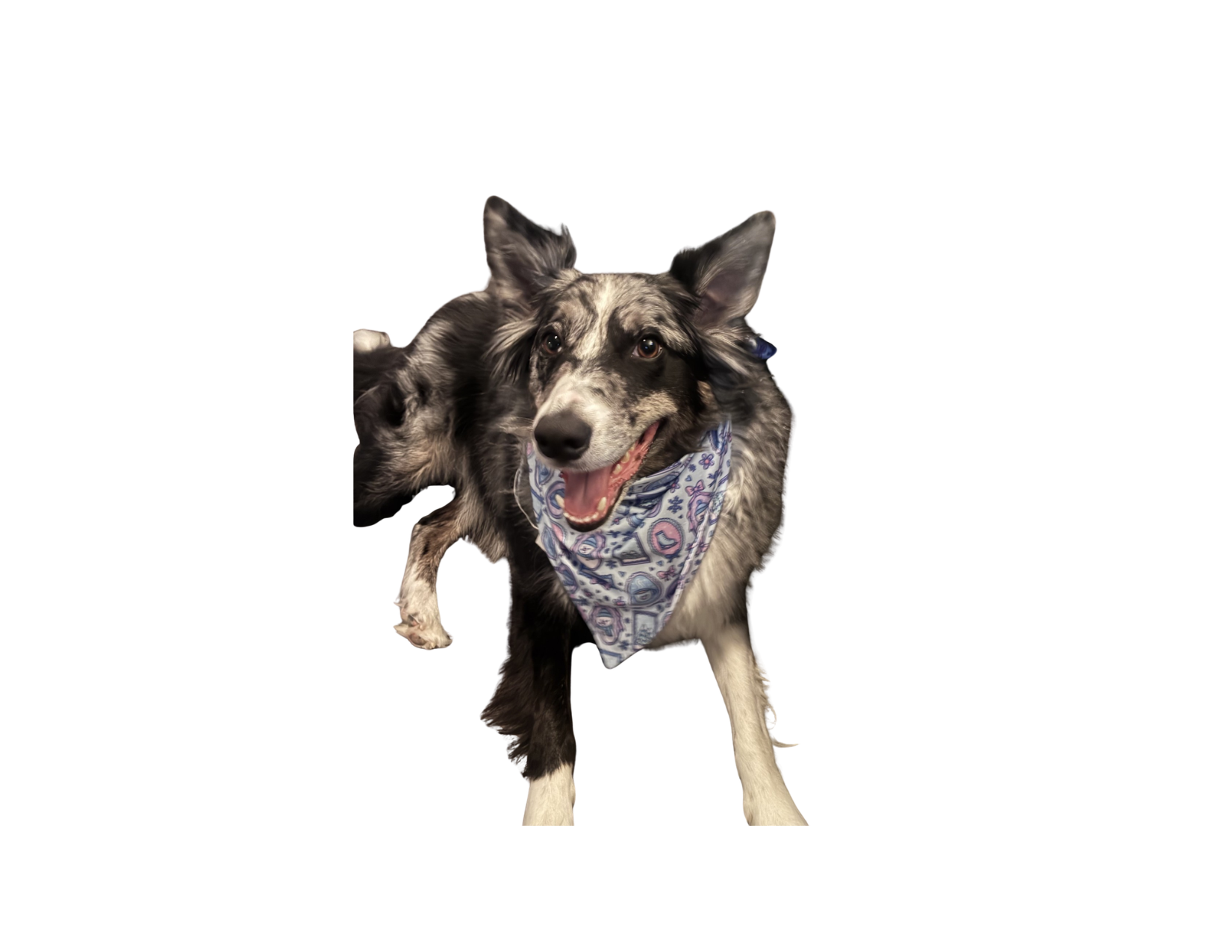 Winter Wonderland Ruffle Bandana